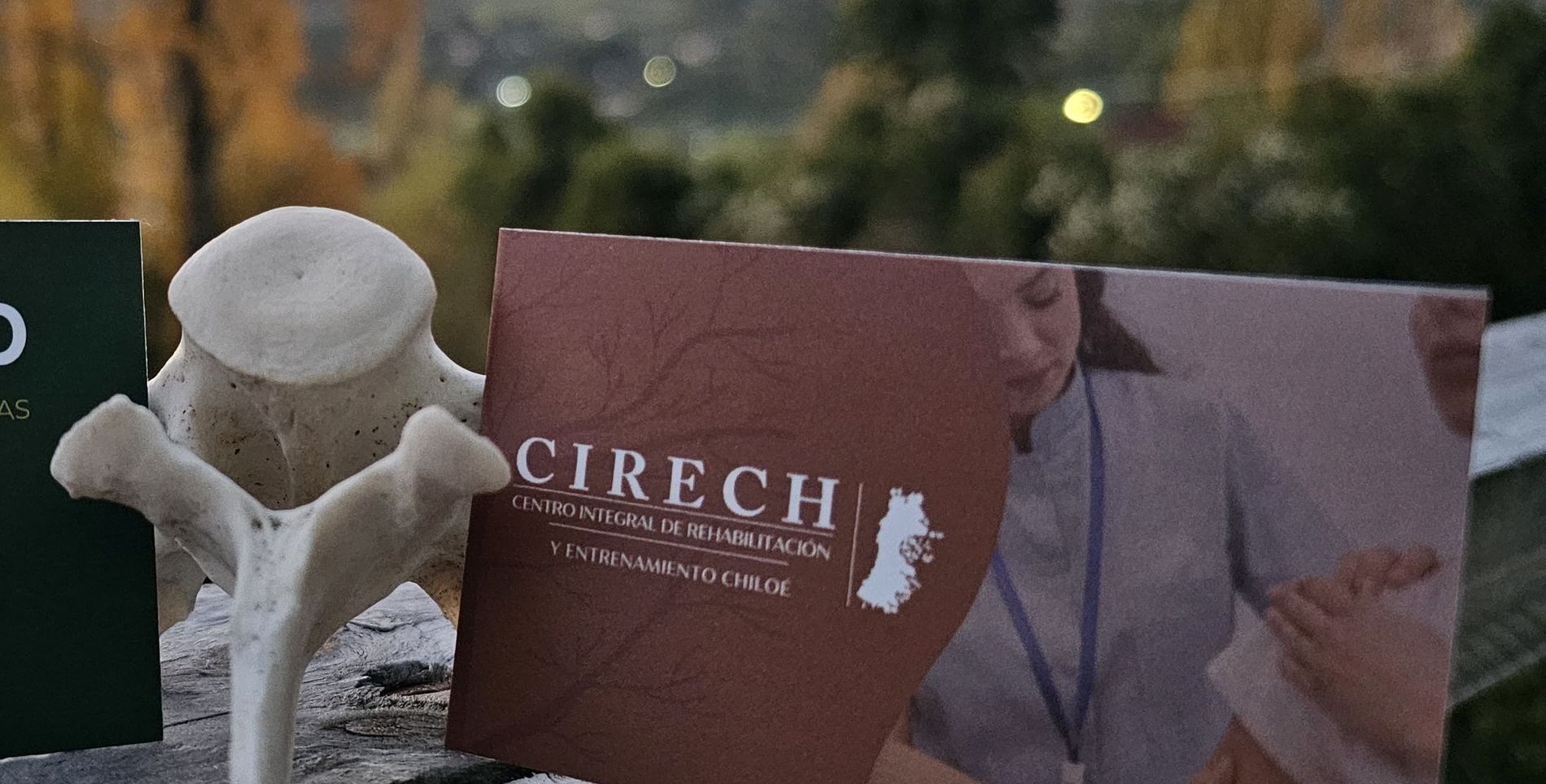 Tarjeta de CIRECH junto a una vértebra, con Chiloé al atardecer de fondo